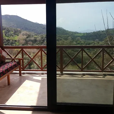 2 * Muğla